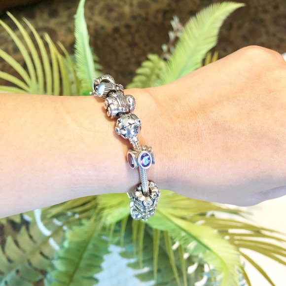 Pandora💙Bracelet with 19 Charms - Picture 5 of 8